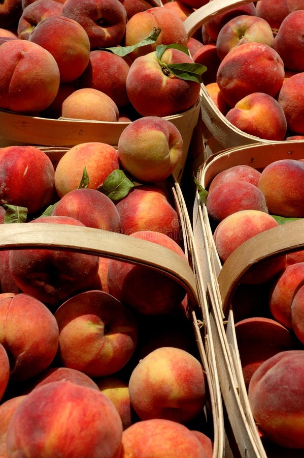 Peaches in a basket stock image. Image of cocktail, oval 20296875