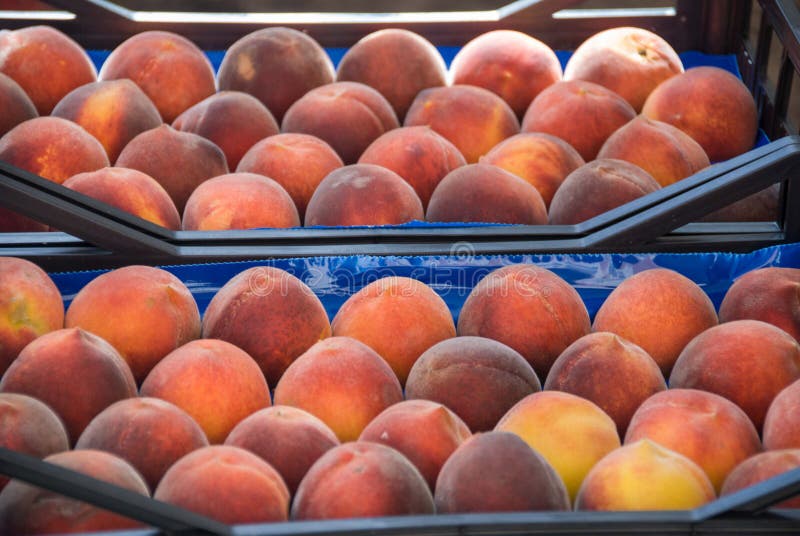 Peaches in a Basket at the Market Stock Photo Image of market, group