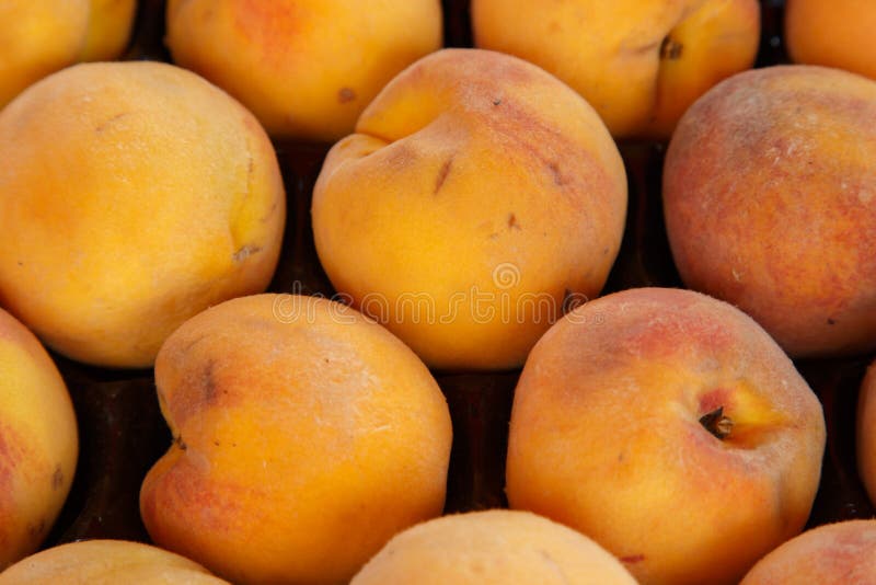 Peaches group stock photo. Image of close, backgrounds 45623618