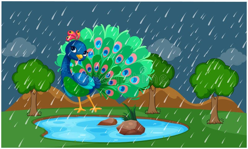 Peacock is Dancing in a Park during Rain Stock Vector - Illustration of  green, bright: 187227286
