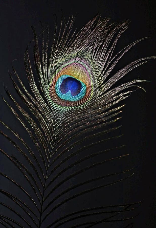 The peacock eye 1