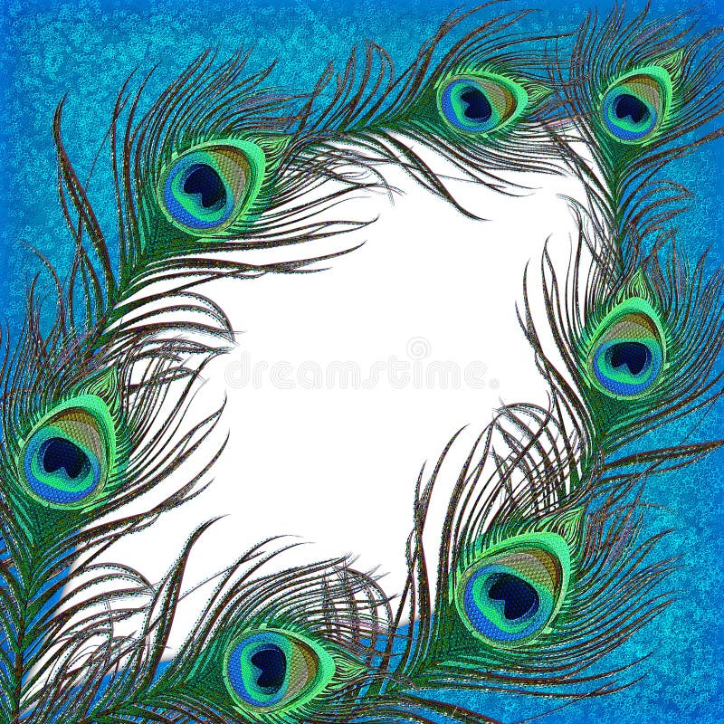 Peacock feather banner stock illustration. Illustration of cards - 39414670