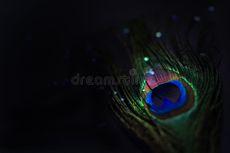 Peacock Feather on a Black Background with Glitter Particles or Confetti  Spread on it. Close-up Shot, Copy Space for Stock Photo - Image of  colorful, peacock: 163995988