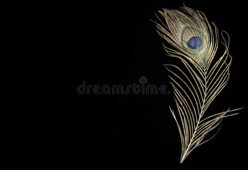Peacock Feather on Black Background Stock Photo - Image of background,  circle: 167782874