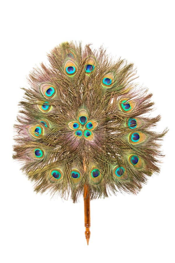 Peacock feather fan