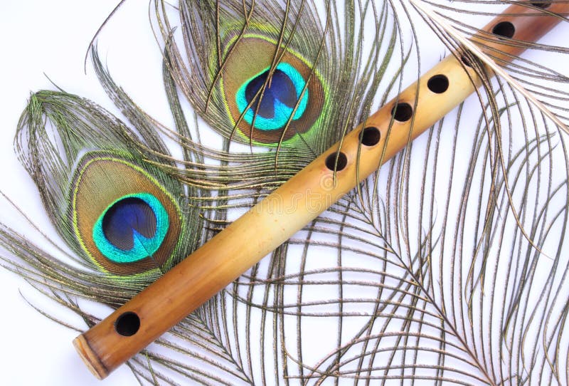Peacock Feather with Indian Flute Stock Photo - Image of folk, bird