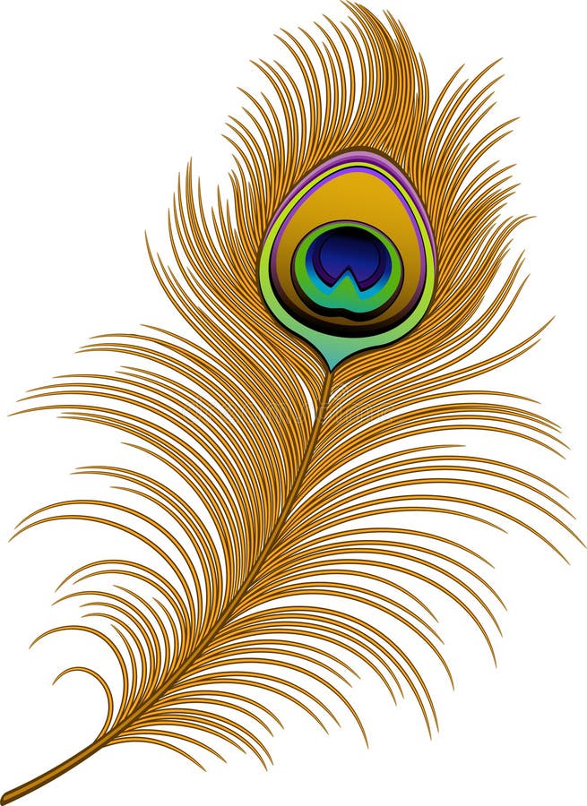 Peacock Feather Stock Illustrations – 26,675 Peacock Feather Stock