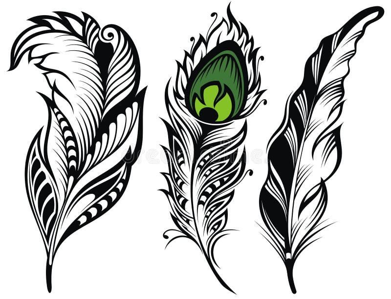 Stylized, Vector Peacock Feathers Stock Vector - Illustration of ...