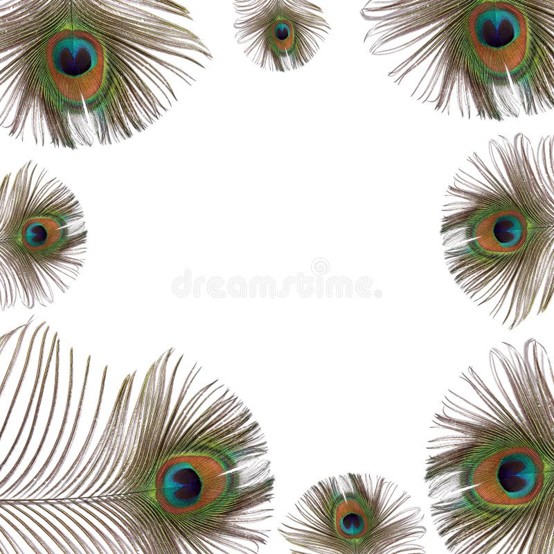 Owl Feathers stock image. Image of nature, backgrounds - 1776075