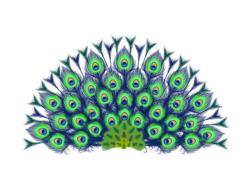 Peacock feathers fan