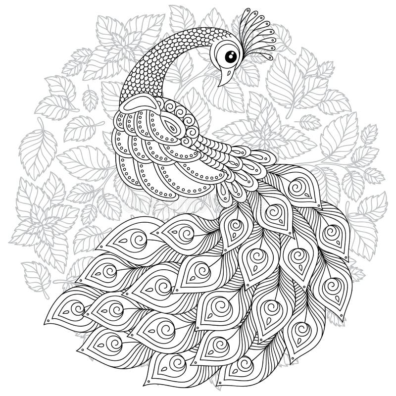 Download Peacock Coloring Page Stock Illustrations 430 Peacock Coloring Page Stock Illustrations Vectors Clipart Dreamstime