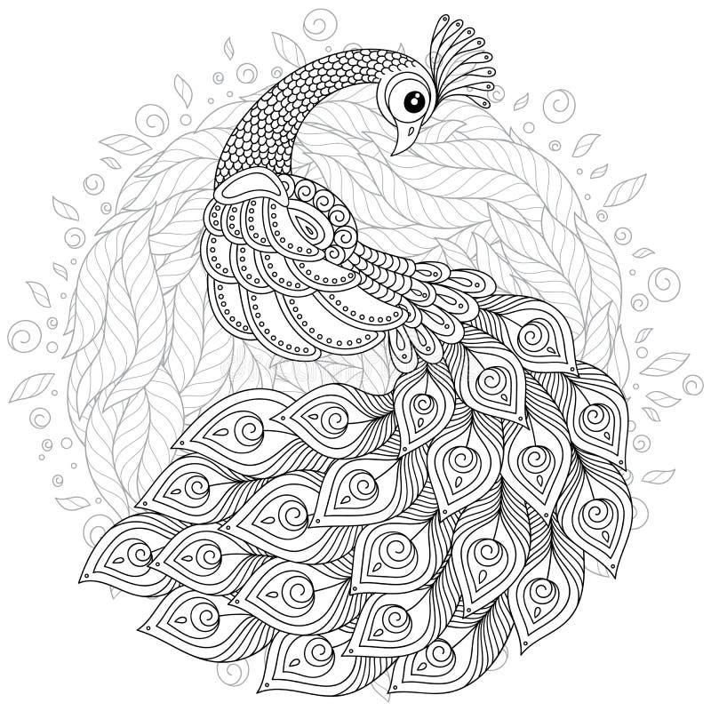 Download Peacock Coloring Page Stock Illustrations 443 Peacock Coloring Page Stock Illustrations Vectors Clipart Dreamstime
