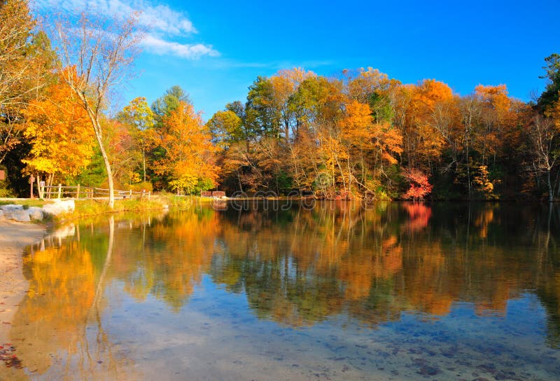 Peak Fall Foliage at a lake