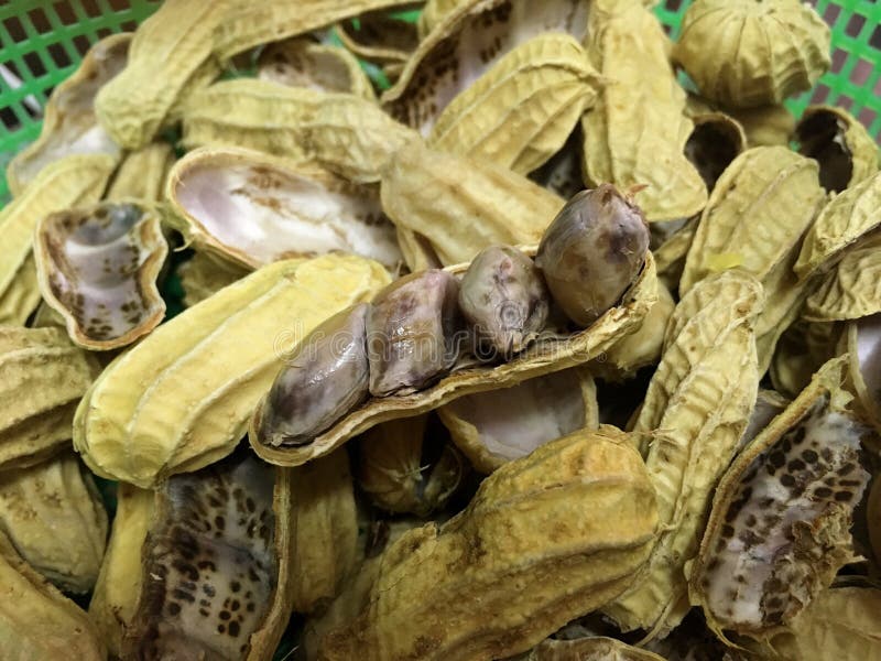Peanut bean stock image. Image of objects, fattening 72130693