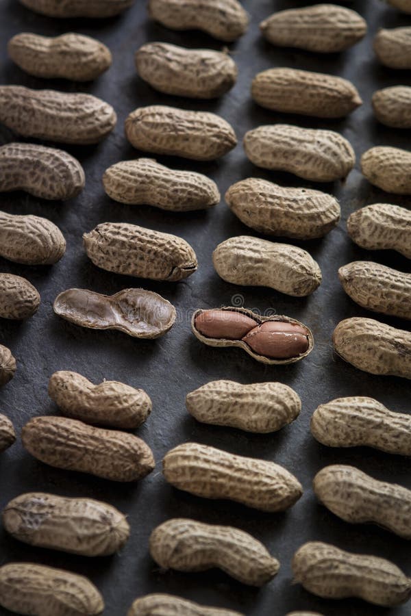 Peanut Gallery Background stock image. Image of nuts 217600257
