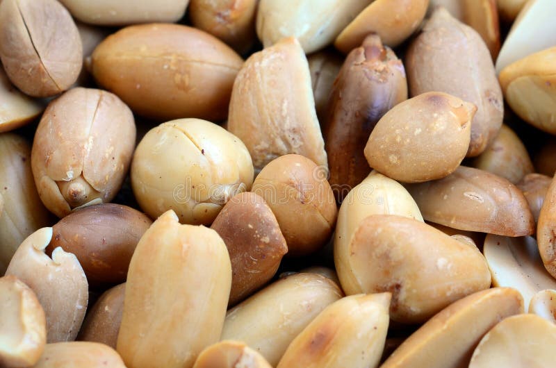 Peanut. a Lot of Small Yellow Nuts without Peel Stock Photo Image of