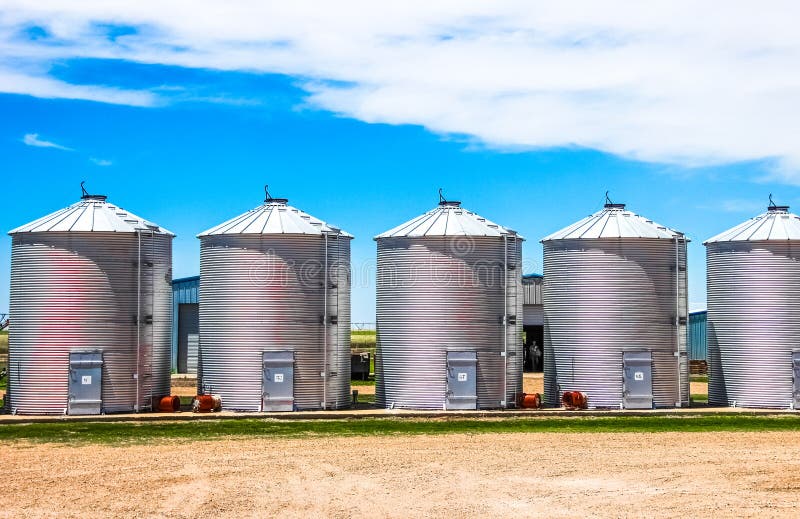 Peanut Processing Plant stock image. Image of production 48046507