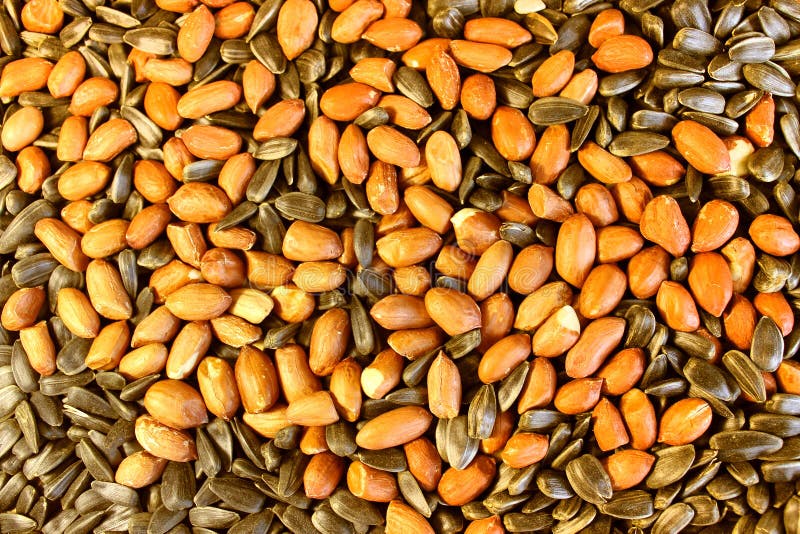 Peanut and Sunflower Seeds Background Stock Image Image of shell