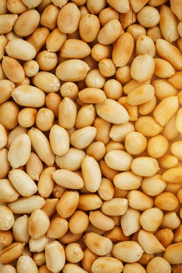 Peanut Texture. Food Background Of Peanuts Beans. Stock Photo Image