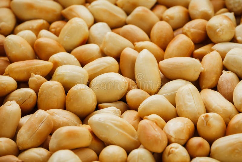 692 Roasted Peanut Beans Photos Free & RoyaltyFree Stock Photos from