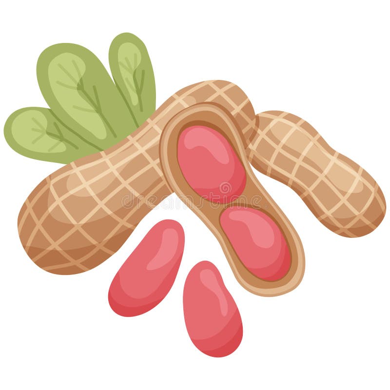 Peanut Toppings Stock Illustrations – 717 Peanut Toppings Stock  Illustrations, Vectors & Clipart - Dreamstime