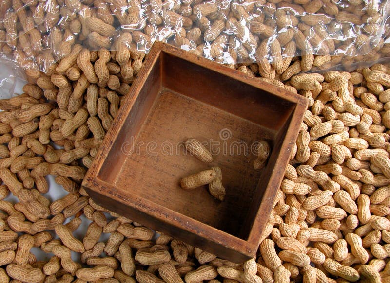 Download Peanuts stock image. Image of taste, diet, fruit, hazelnut - 8239