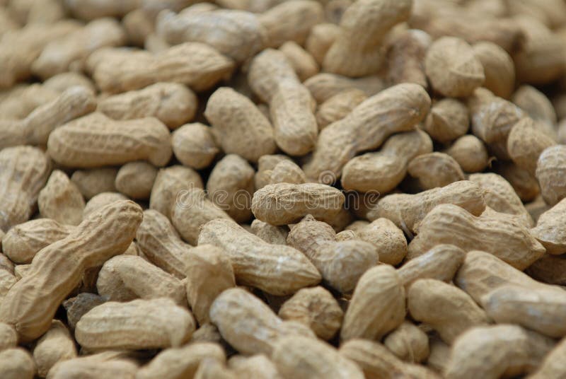 Peanuts stock photo