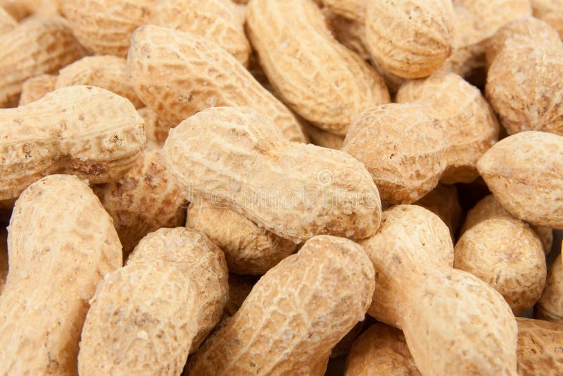 Peanuts background royalty free stock photo