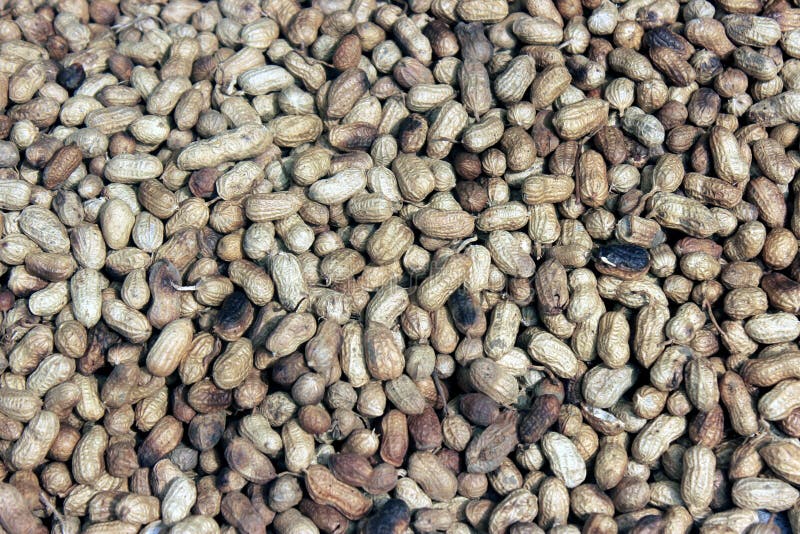 Peanuts background, nut stock image. Image of abstract 56451651