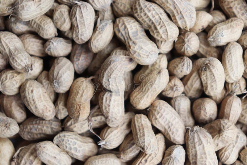 Peanuts Background Texture, Healthy Peanut Nuts Stock Photo Image of