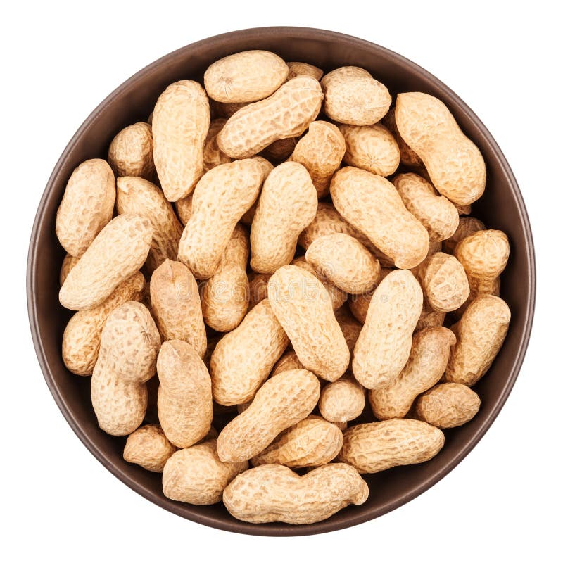 free download clipart bowl of peanuts free download clipart bowl of peanuts