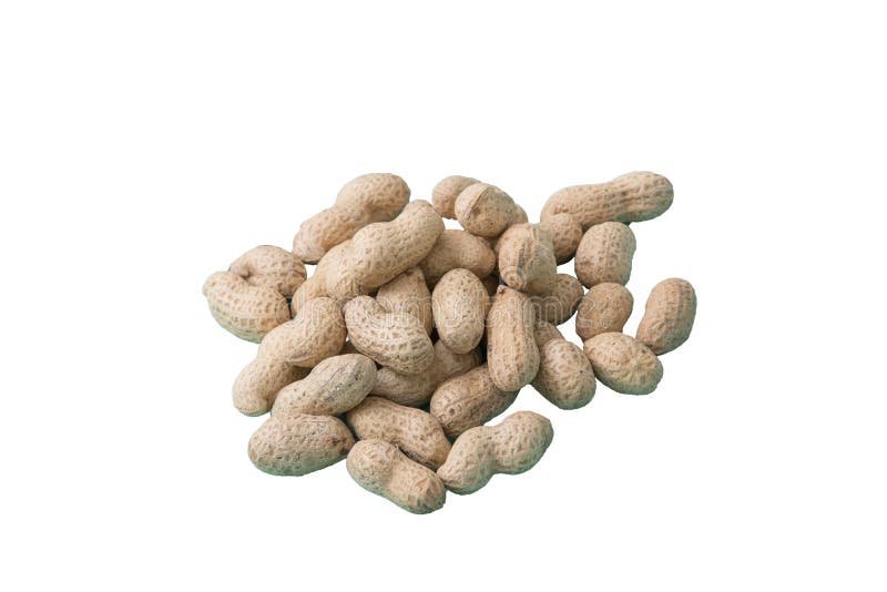 Peanuts Nut Healthy Nut for Health, Proper Nutrition Stock Image