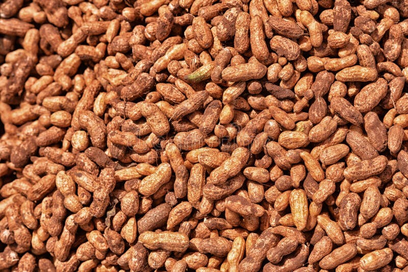 Peanuts for sale on market stock image. Image of organic 99283729