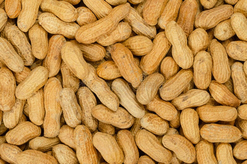 Peanuts with shell, background, close up