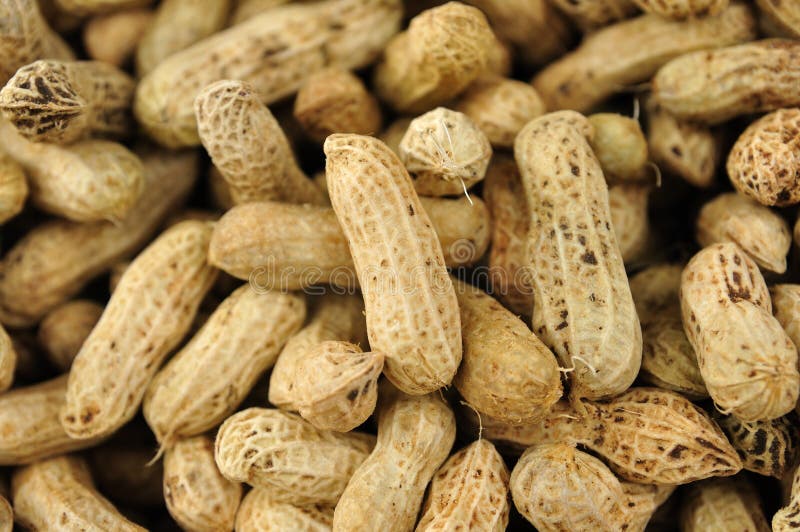 Peanuts in shells, background and patterns.