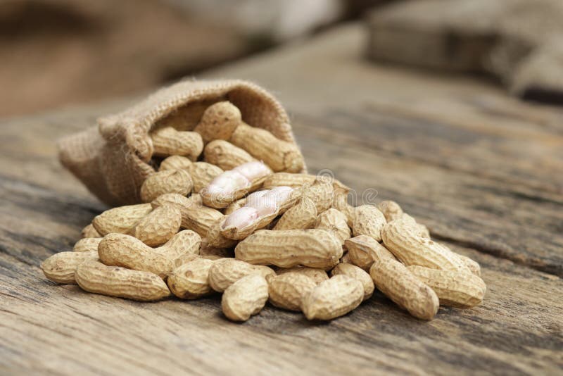 Peanuts In Shells And Sack Bag Stock Image Image of table, heap 98081065