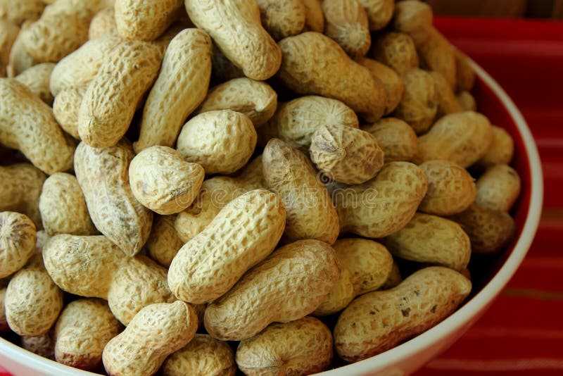 Peanuts in Their Skins in a Plate Stock Image Image of peel, skins