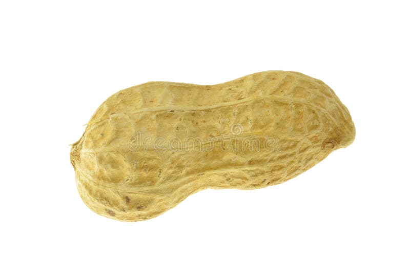 Peanuts On A White Background.nuts,bean,pea,haricot Stock Image Image