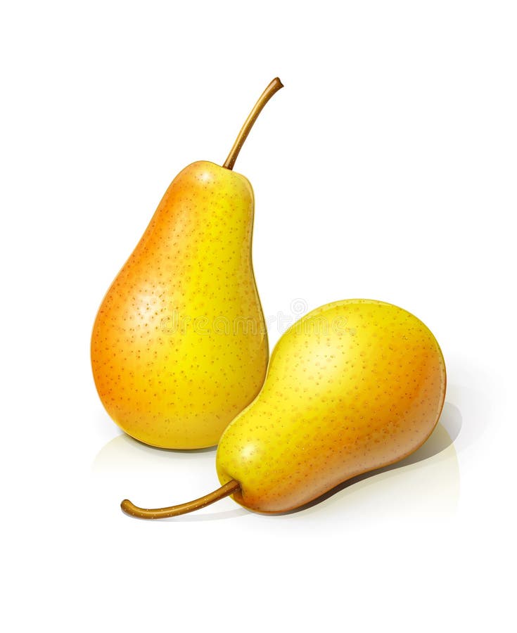 Pear Pair Stock Illustrations – 437 Pear Pair Stock Illustrations
