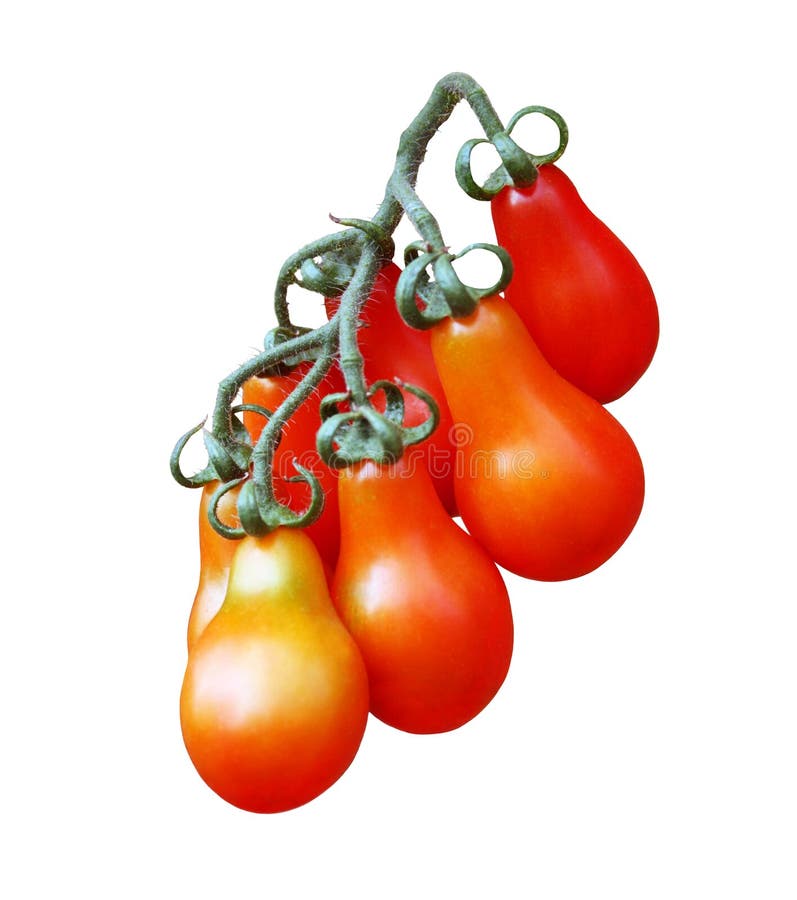 Bunch of Cherry tomatoes.