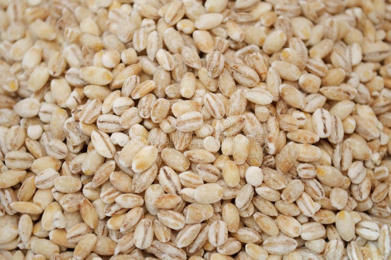 Pearl Barley royalty free stock images