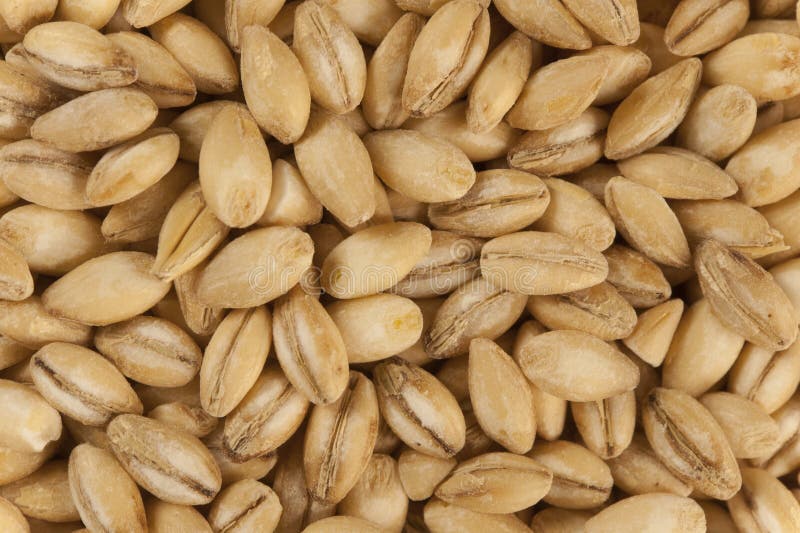 Pearl Barley stock photos Pearl Barley stock photos