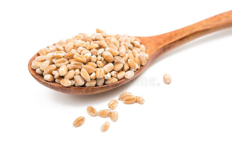 pearl barley