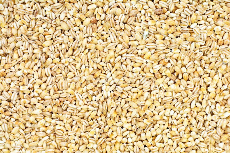 Pearl Barley Whole Grains stock photo. Image of rough 68650098