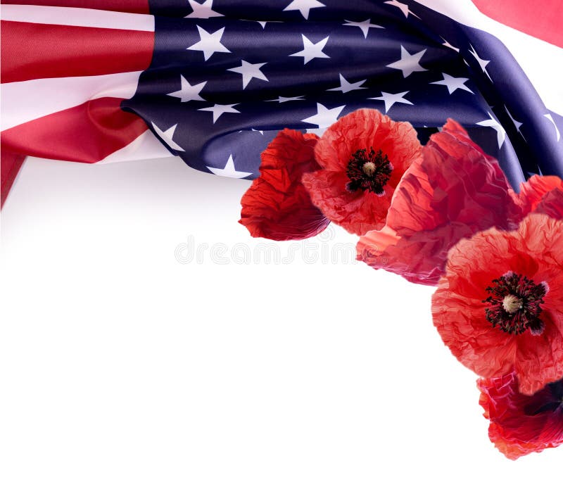 Remembrance Day Banner with Poppy Flowers Against White Background Stock  Photo - Image of canada, poppy: 191686038