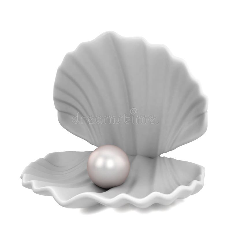Pearl inside seashell vector illustration