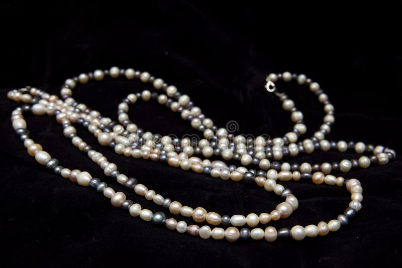 Pearl Necklace Isolated On Black Background Stock Photo Image of