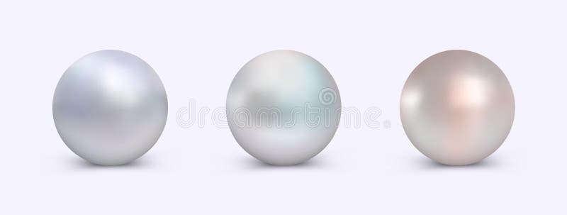 Pearl vector set stock vector. Illustration of circle - 211278981