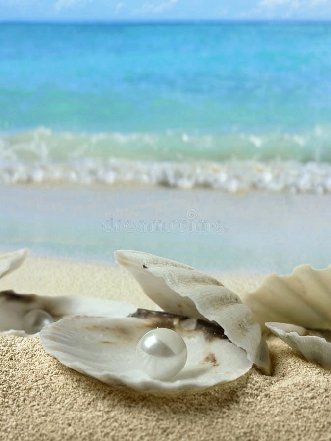Pearls in seashell