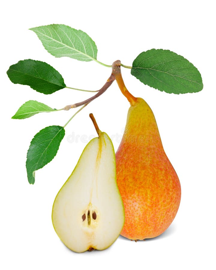 Pears stock image. Image of orange, nutritious, health 26002021